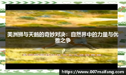 乐鱼体育官网