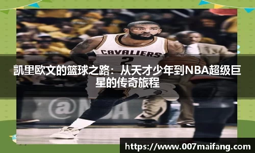 乐鱼体育APP